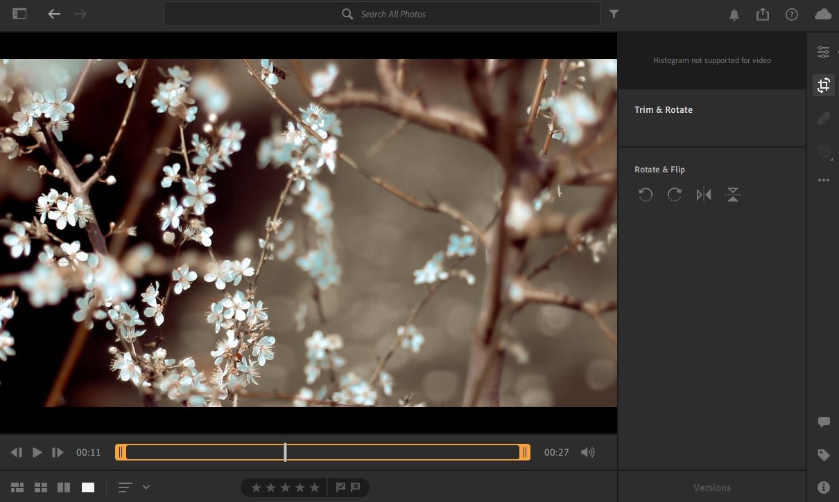video8.JPG